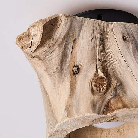 Rustic Ceiling Light for Commercial Spaces OpalDwell