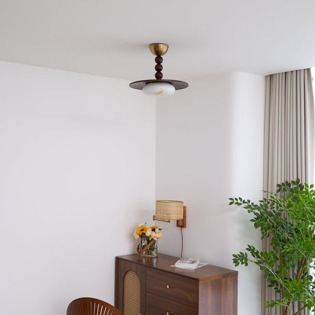 Ceiling Light for Kitchen Ambient Lighting