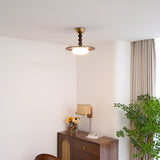 Dimmable LED Ceiling Light Fixture