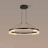 Elegant Ceiling Light for Home Interiors OpalDwell