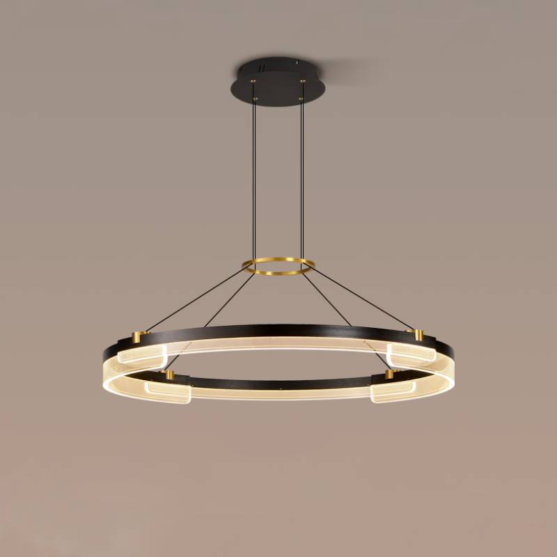 Elegant Ceiling Light for Home Interiors OpalDwell