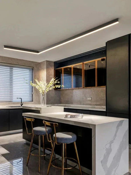 Ceiling Light for Modern Homes OpalDwell