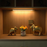 GlowMotion Wireless Motion Sensor Light for Home