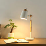 Adjustable desk lamp lit over an open notebook beside a small plant