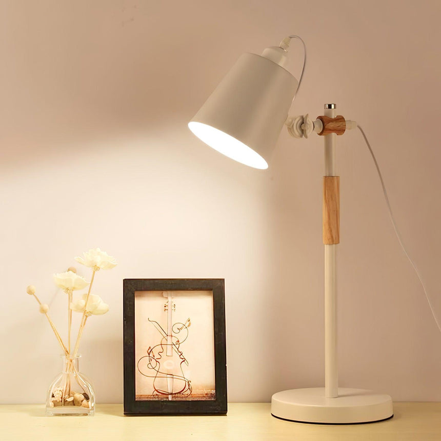 Adjustable desk lamp lit beside a framed picture and dried flowers