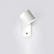 The white version seen at an angle, the head turned away from the wall plate