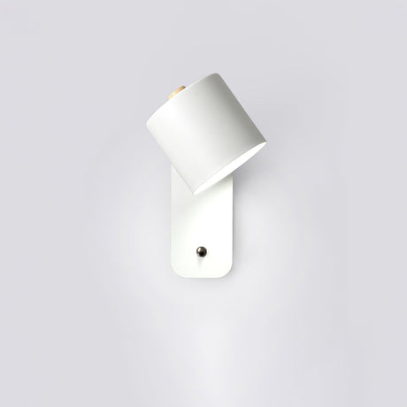 The white version seen at an angle, the head turned away from the wall plate