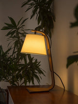 Arc lamp lit on a dark table beside a tall green plant
