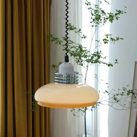 The saucer shade lit in front of a curtain with a leafy branch behind it
