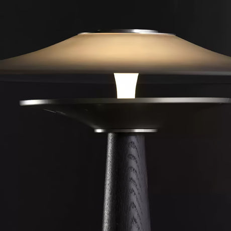 Close view of the recessed reflector under the wide disc