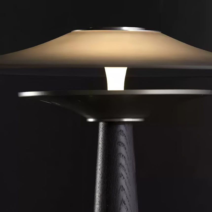 Close view of the recessed reflector under the wide disc