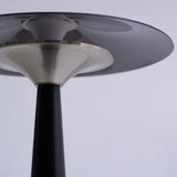 The underside of the disc and the reflector seen from below