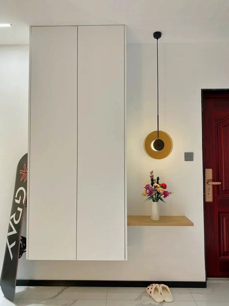 The disc hung upright in a hallway beside a mirror and a door