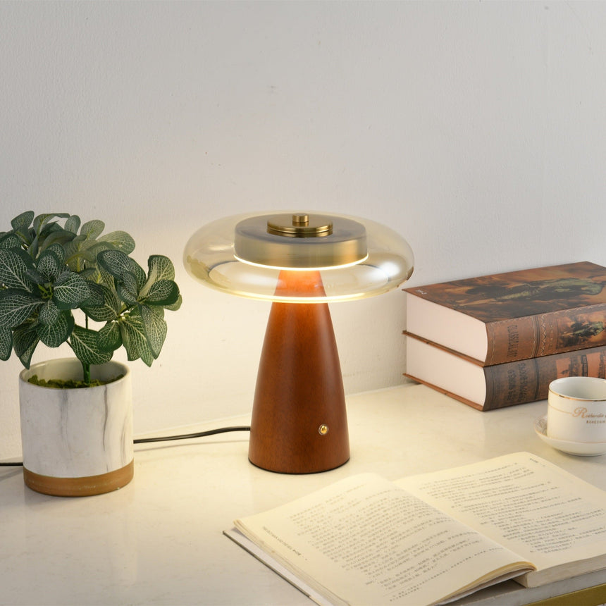 Clear glass table lamp lit beside a potted plant and books
