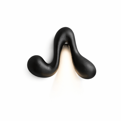 The black version seen from the front, the curve reading as a silhouette