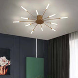 Asterra Ceiling Lamp Wired Installation Detail
