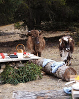 Dimmable bedside lamp lit on a log table in a field with cattle behind