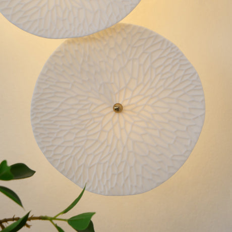 Close view of a lit disc, its petal texture glowing