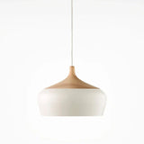 White dome with its wood collar on a plain background