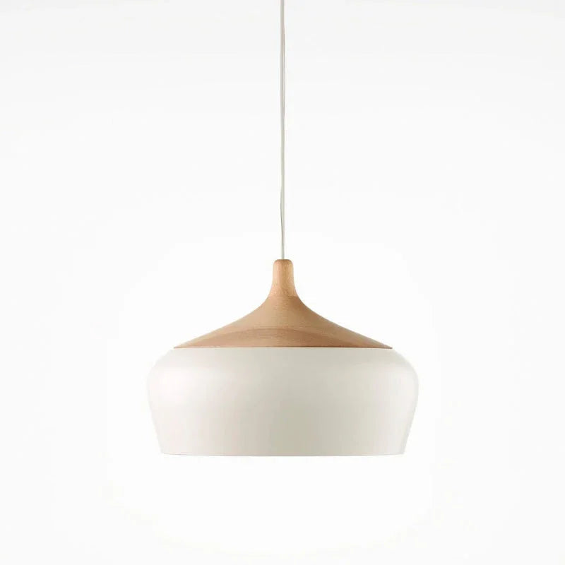 White dome with its wood collar on a plain background
