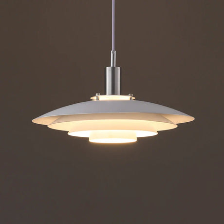 Modern Oval Pendant Lamp with Natural Wood Accents