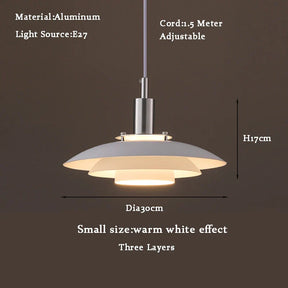 Close-Up of Natural Wood Accent on Pendant Light