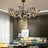 Glass globe chandelier iron frame