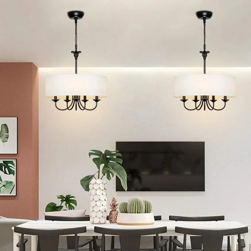 modern transitional pendant lamp