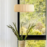 Ribbed silk drum hung in front of a window with plants outside