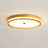 Nyra Ceiling Fixture – Sleek Modern Lines Design