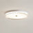 Nyra Ceiling Fixture for Living Room Decor