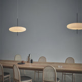 Contemporary Oval Silhouette Ceiling Light