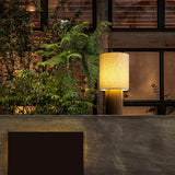 Entryway table lamp lit on a ledge in front of a window and plants