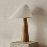Wood cone lamp on a stone plinth against a plaster wall