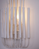The rod cluster lit and seen from an angle, showing its depth on the wall