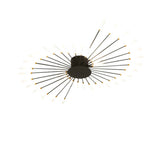 Asterra Ceiling Lamp 20-Light Configuration