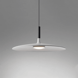 Close-Up of Pendant Light Metal Finish