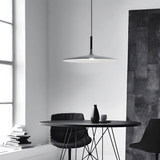 Pendant Light for Contemporary Home Decor