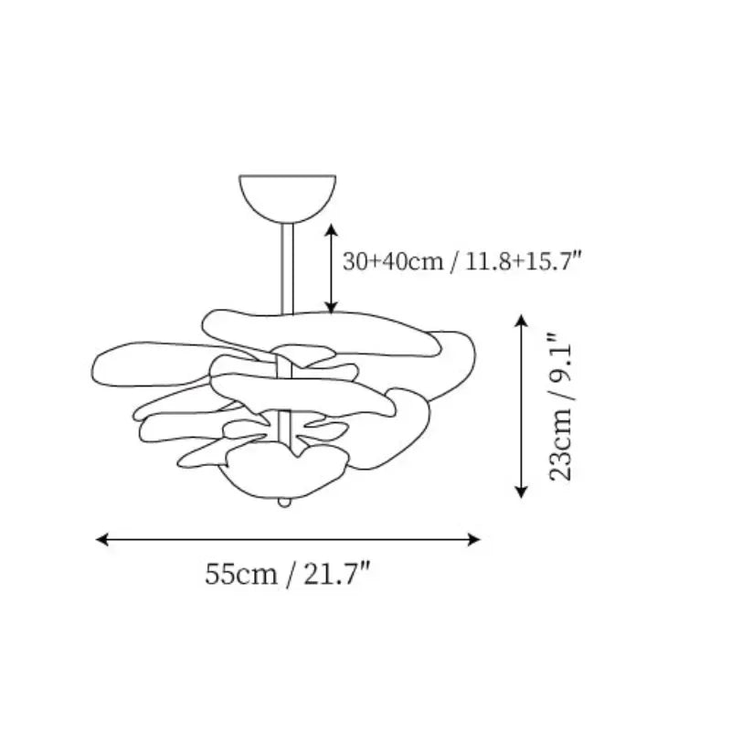 The 55 cm version drawn with its width and 23 cm height marked
