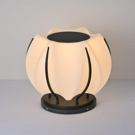 The low base ring under the bloom, the frame ribs meeting at the top