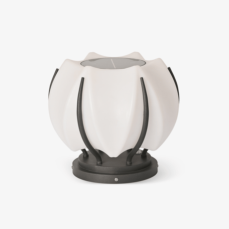 Rounded bloom of white petals held in a black frame on a low base