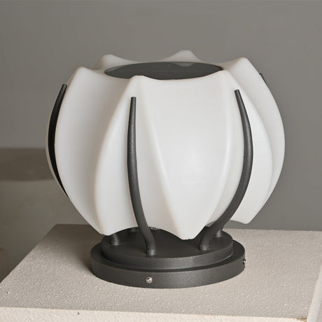 The white petals lit from within, the black ribs showing between them