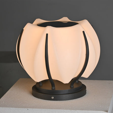 The bloom unlit, the petal seams and the black base ring clearly seen