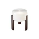 Frosted glass table lamp seen three quarters on against a pale ground