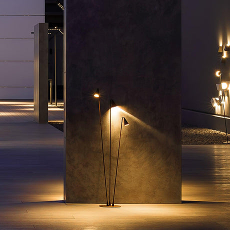 One stem lit against a tall concrete pillar on a pale paved walk