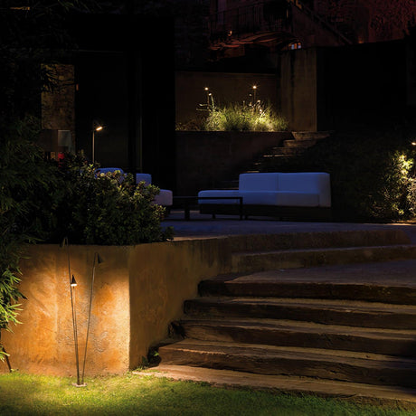 The stems lit beside a raised bed and lit steps in a dark garden