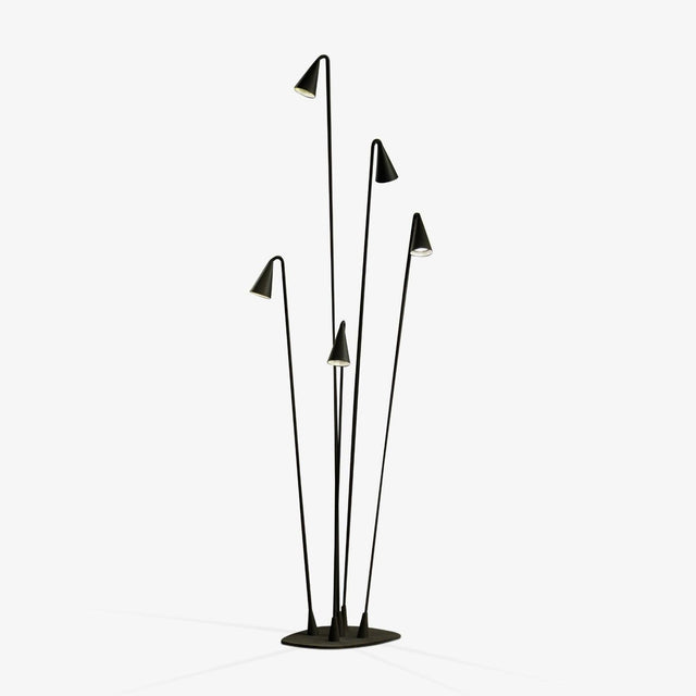 Cluster of thin black stems with small cone heads on a round foot