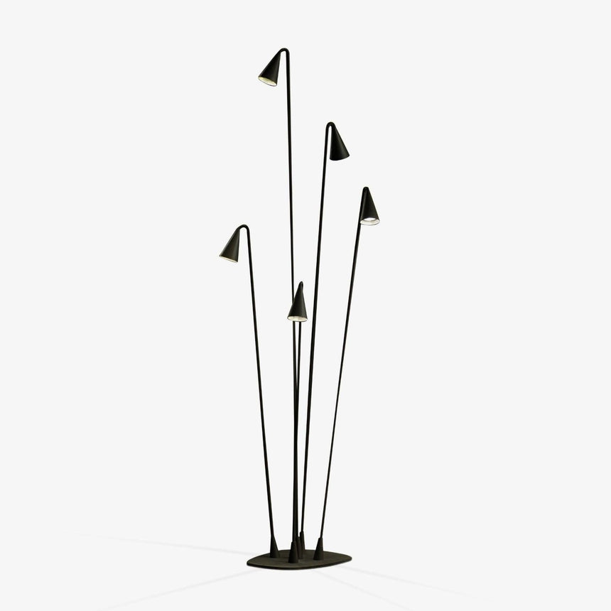 Cluster of thin black stems with small cone heads on a round foot