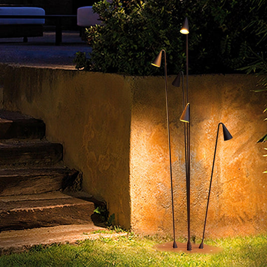 The stems lit against an ochre garden wall beside worn stone steps