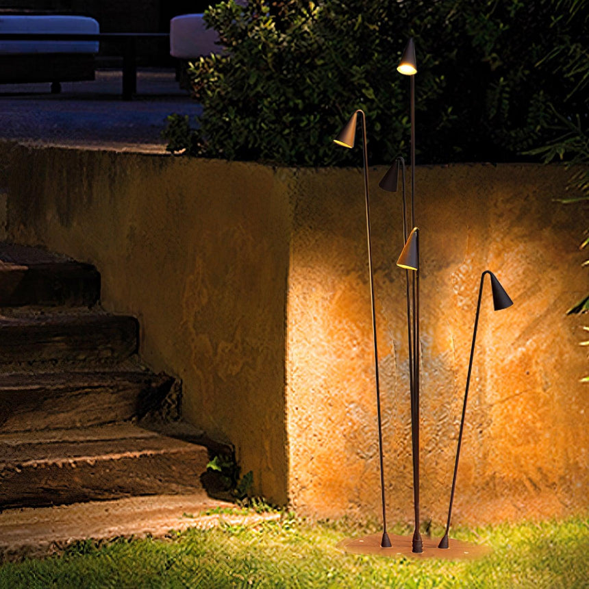 The stems lit against an ochre garden wall beside worn stone steps